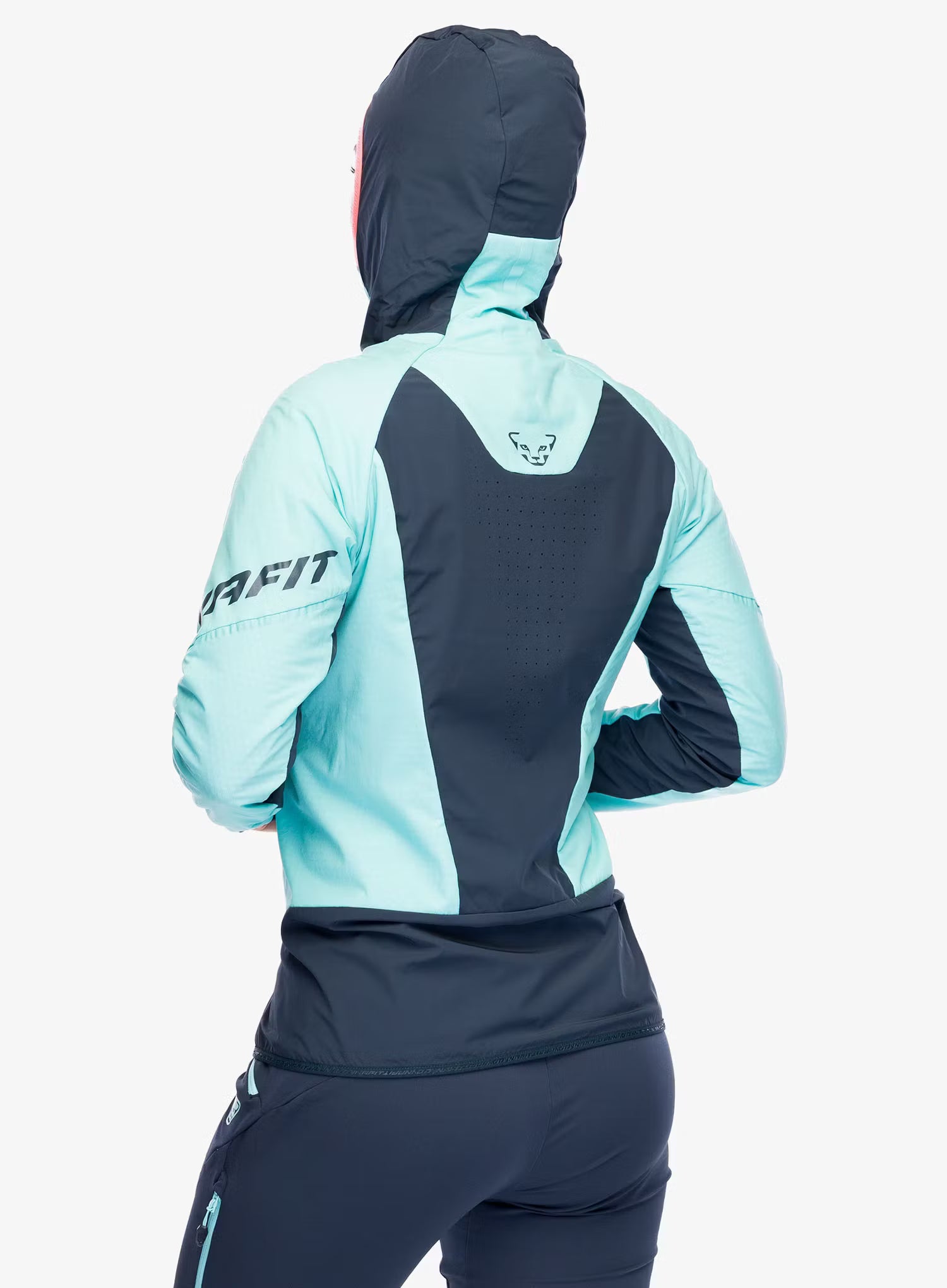 Kurtka DYNAFIT Mezzalama Polartec Alpha Jacket | Marine Blue